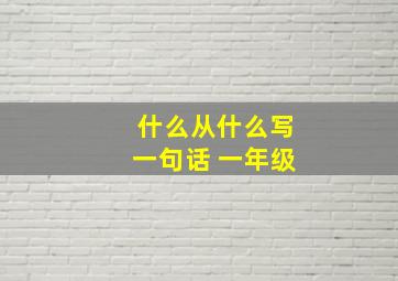 什么从什么写一句话 一年级